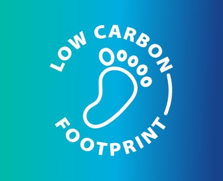 Low-Carbon Homes from Day One